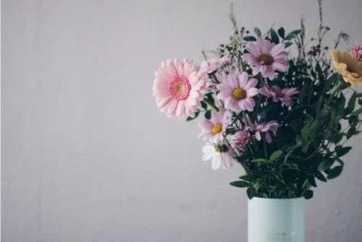 Jak przedłużyć żywotność kwiatów ciętych?